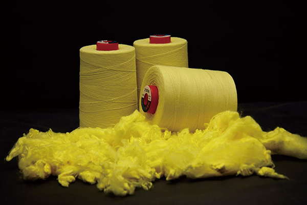 Para-Aramid-Fiber_1